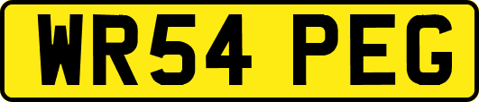 WR54PEG