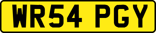 WR54PGY