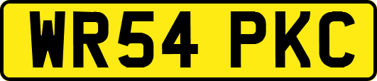 WR54PKC