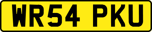 WR54PKU