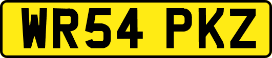 WR54PKZ