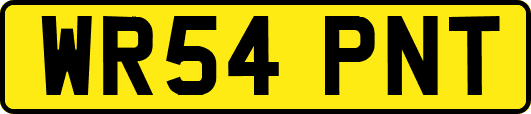 WR54PNT