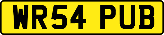 WR54PUB