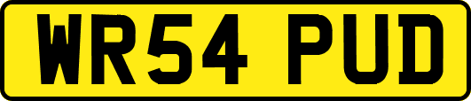 WR54PUD