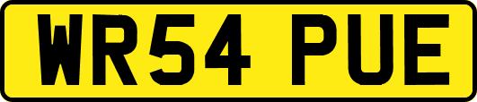 WR54PUE