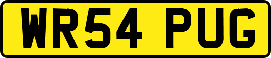 WR54PUG