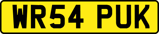 WR54PUK