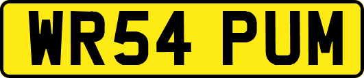 WR54PUM