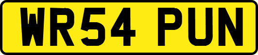 WR54PUN
