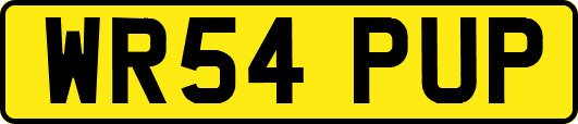 WR54PUP