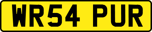 WR54PUR