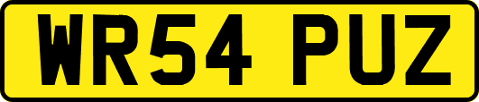 WR54PUZ