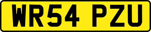 WR54PZU