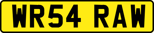 WR54RAW