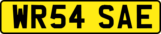 WR54SAE