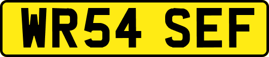 WR54SEF