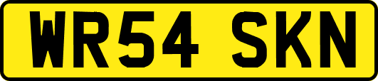 WR54SKN