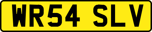 WR54SLV