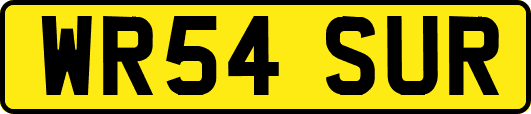 WR54SUR
