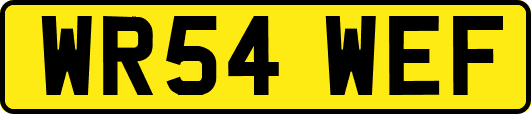 WR54WEF