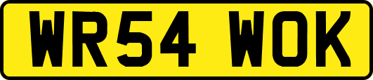 WR54WOK