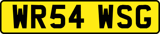 WR54WSG