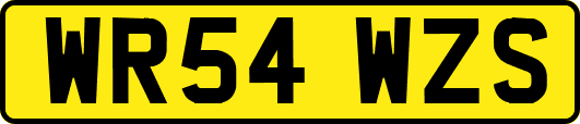 WR54WZS