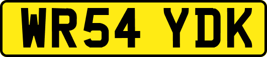 WR54YDK