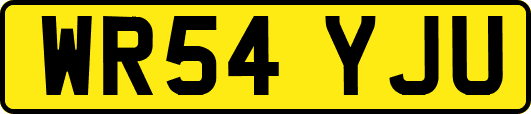 WR54YJU