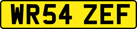 WR54ZEF