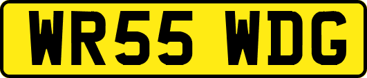 WR55WDG