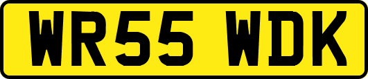 WR55WDK