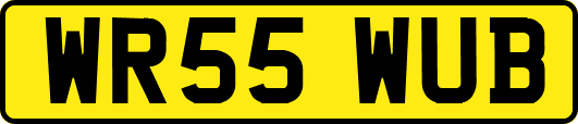 WR55WUB