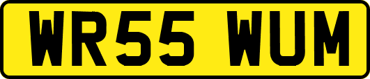 WR55WUM