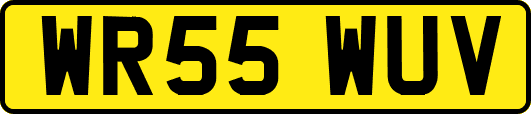 WR55WUV
