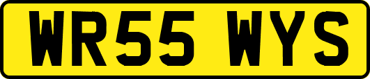 WR55WYS