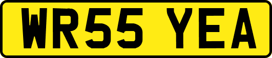 WR55YEA