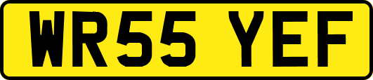 WR55YEF