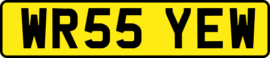 WR55YEW