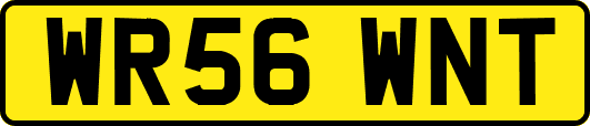 WR56WNT