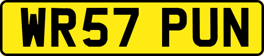 WR57PUN