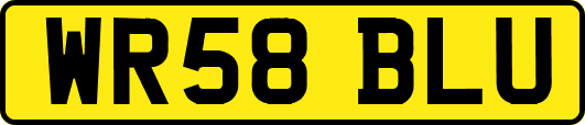 WR58BLU