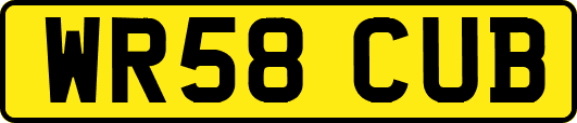 WR58CUB