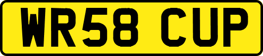 WR58CUP