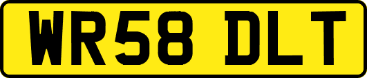 WR58DLT