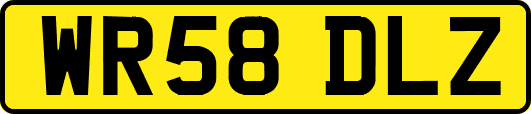 WR58DLZ