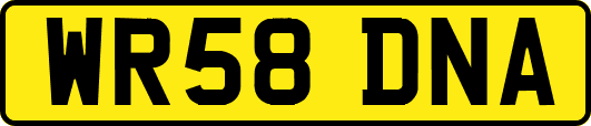 WR58DNA