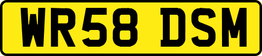 WR58DSM