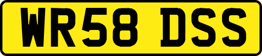 WR58DSS