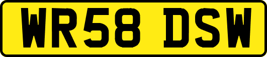 WR58DSW